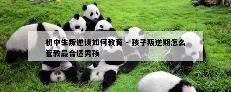 初中生叛逆该如何教育 - 孩子叛逆期怎么管教最合适男孩