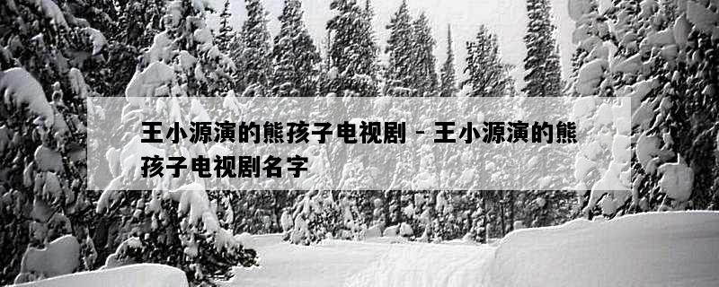 王小源演的熊孩子电视剧 - 王小源演的熊孩子电视剧名字