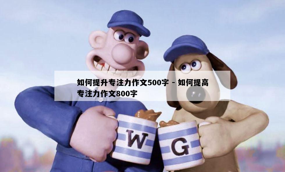 如何提升专注力作文500字 - 如何提高专注力作文800字