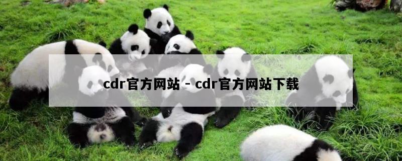 cdr官方网站 - cdr官方网站下载