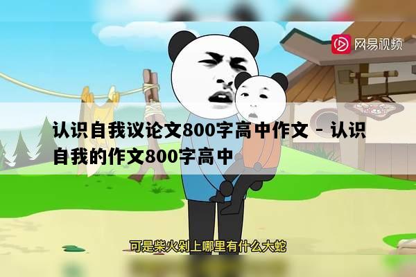 认识自我议论文800字高中作文 - 认识自我的作文800字高中