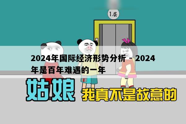 2024年国际经济形势分析 - 2024年是百年难遇的一年