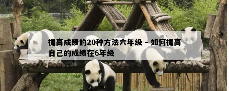 提高成绩的20种方法六年级 - 如何提高自己的成绩在6年级