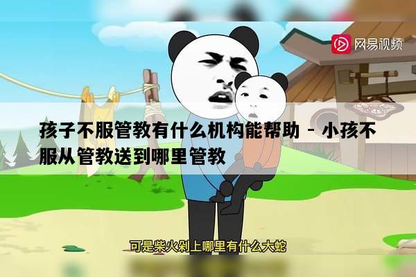 孩子不服管教有什么机构能帮助 - 小孩不服从管教送到哪里管教