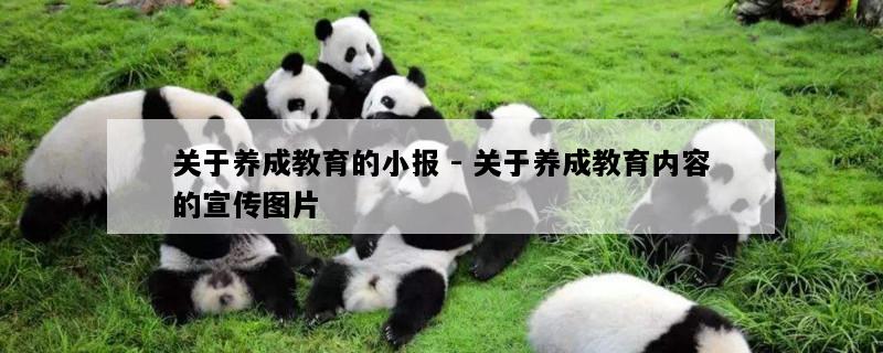 关于养成教育的小报 - 关于养成教育内容的宣传图片