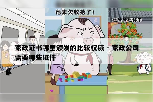 家政证书哪里颁发的比较权威 - 家政公司需要哪些证件