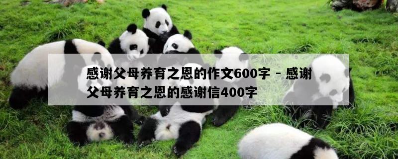 感谢父母养育之恩的作文600字 - 感谢父母养育之恩的感谢信400字