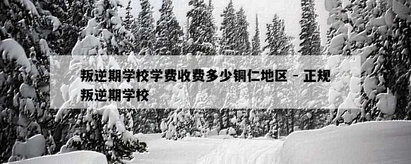 叛逆期学校学费收费多少铜仁地区 - 正规叛逆期学校