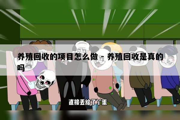 养殖回收的项目怎么做 - 养殖回收是真的吗