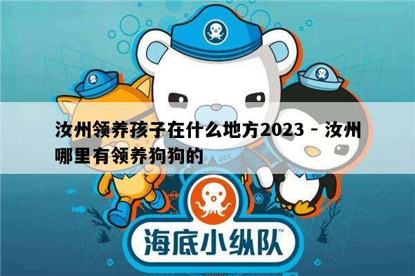 汝州领养孩子在什么地方2023 - 汝州哪里有领养狗狗的