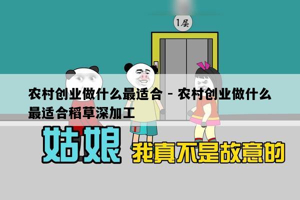 农村创业做什么最适合 - 农村创业做什么最适合稻草深加工