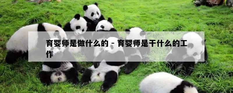 育婴师是做什么的 - 育婴师是干什么的工作