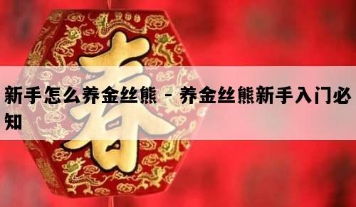 新手怎么养金丝熊 - 养金丝熊新手入门必知