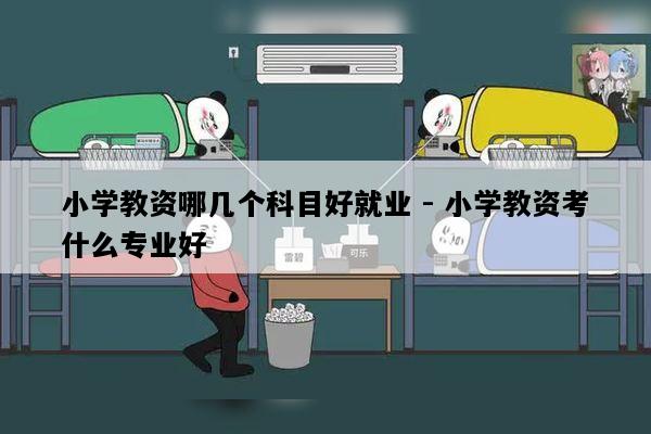 小学教资哪几个科目好就业 - 小学教资考什么专业好