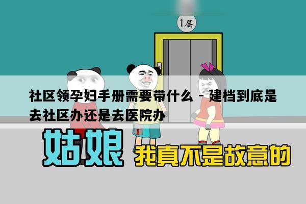 社区领孕妇手册需要带什么 - 建档到底是去社区办还是去医院办