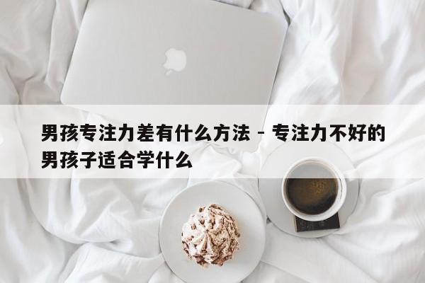 男孩专注力差有什么方法 - 专注力不好的男孩子适合学什么