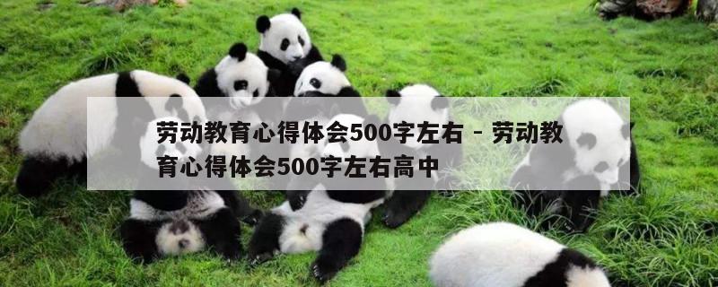 劳动教育心得体会500字左右 - 劳动教育心得体会500字左右高中