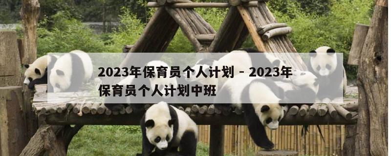 2023年保育员个人计划 - 2023年保育员个人计划中班