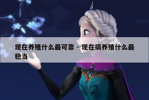 现在养殖什么最可靠 - 现在搞养殖什么最稳当