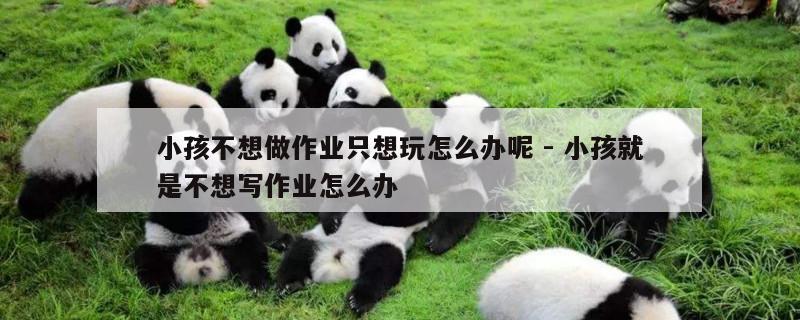 小孩不想做作业只想玩怎么办呢 - 小孩就是不想写作业怎么办