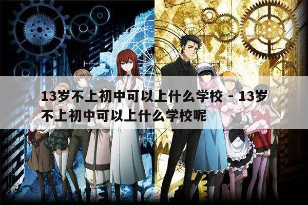 13岁不上初中可以上什么学校 - 13岁不上初中可以上什么学校呢