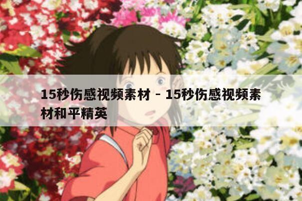 15秒伤感视频素材 - 15秒伤感视频素材和平精英