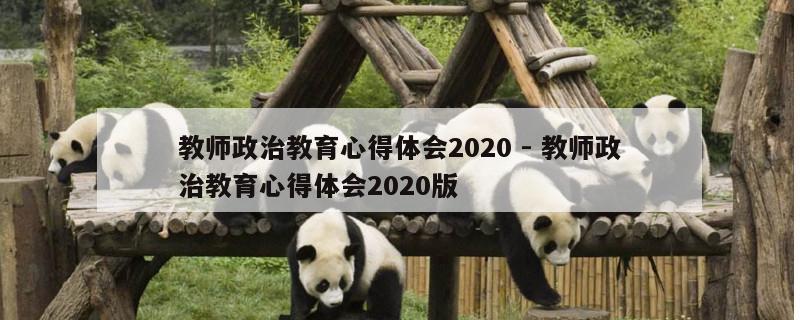 教师政治教育心得体会2020 - 教师政治教育心得体会2020版