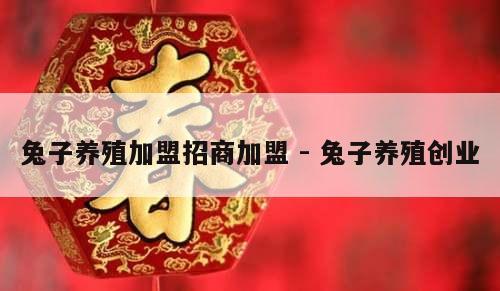 兔子养殖加盟招商加盟 - 兔子养殖创业