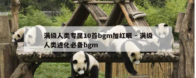 满级人类专属10首bgm加红眼 - 满级人类进化必备bgm