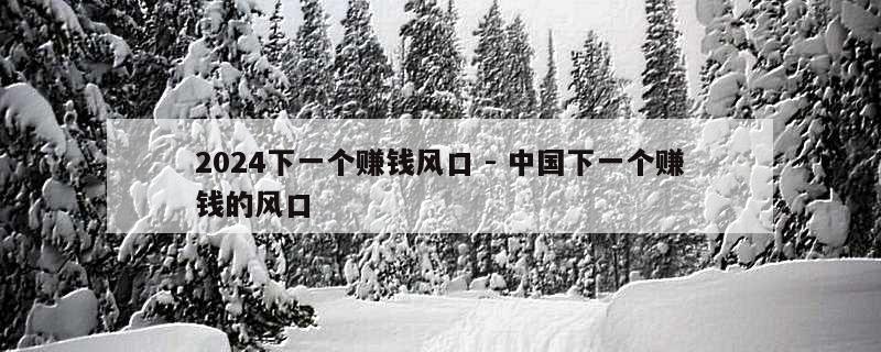 2024下一个赚钱风口 - 中国下一个赚钱的风口